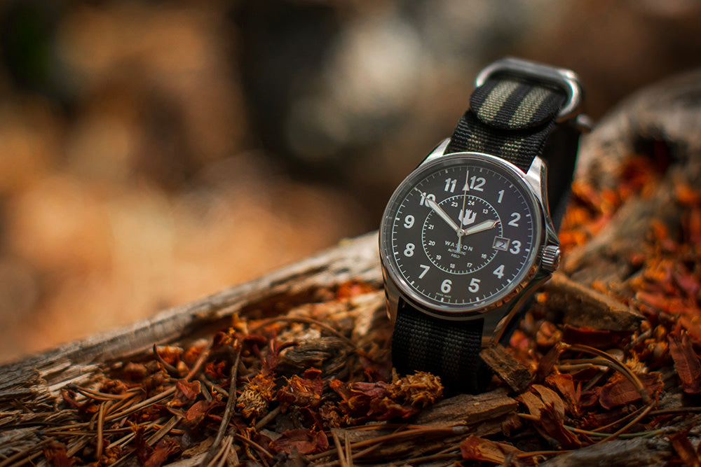 Wasson Automatic Field Watch with gray and black striped nato strap sits on fallen leaves.